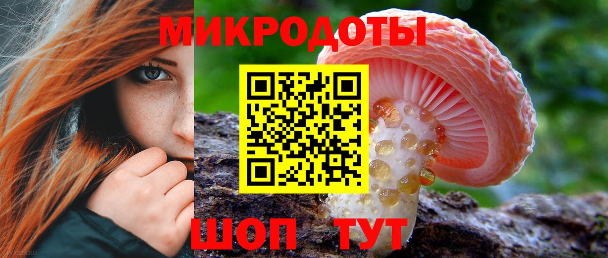 Галлюциногенные грибы Psilocybine cubensis  Вход с VPN  Донецк 