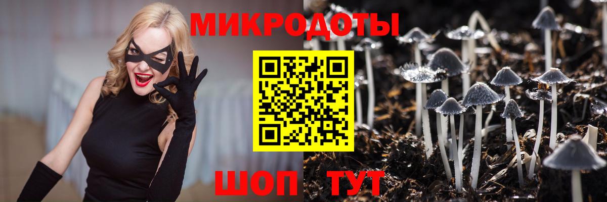 Галлюциногенные грибы мухоморы Донецк